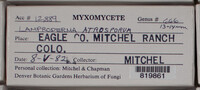 Image Associated With the Occurence